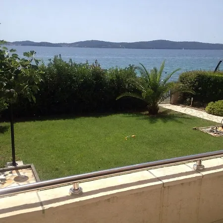 Pisacic ביבינייה